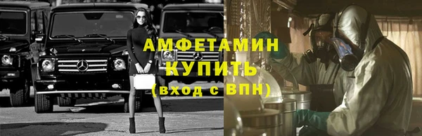 крисы Кулебаки