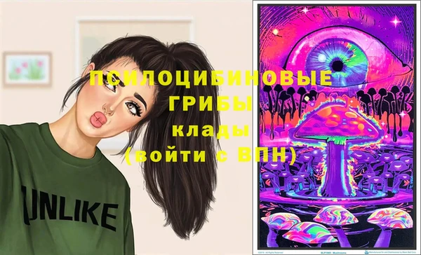 крисы Кулебаки