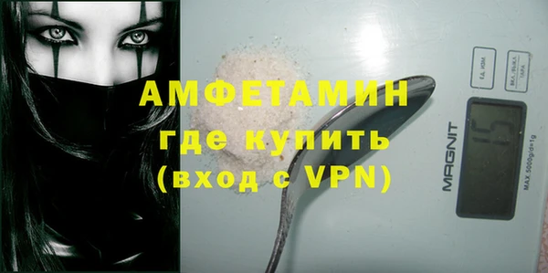 крисы Кулебаки