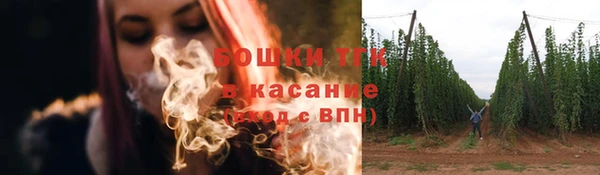 крисы Кулебаки