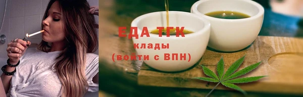 крисы Кулебаки