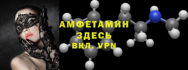 крисы Кулебаки