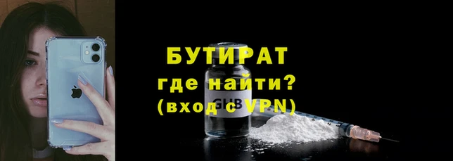 крисы Кулебаки