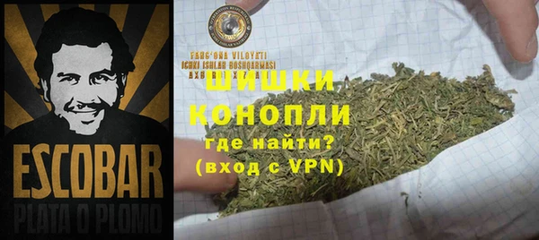 крисы Кулебаки