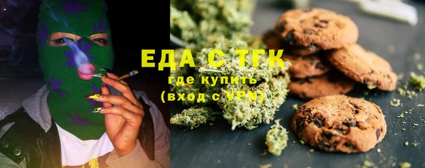крисы Кулебаки