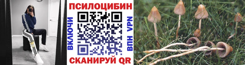 Псилоцибиновые грибы мухоморы  Новопавловск 
